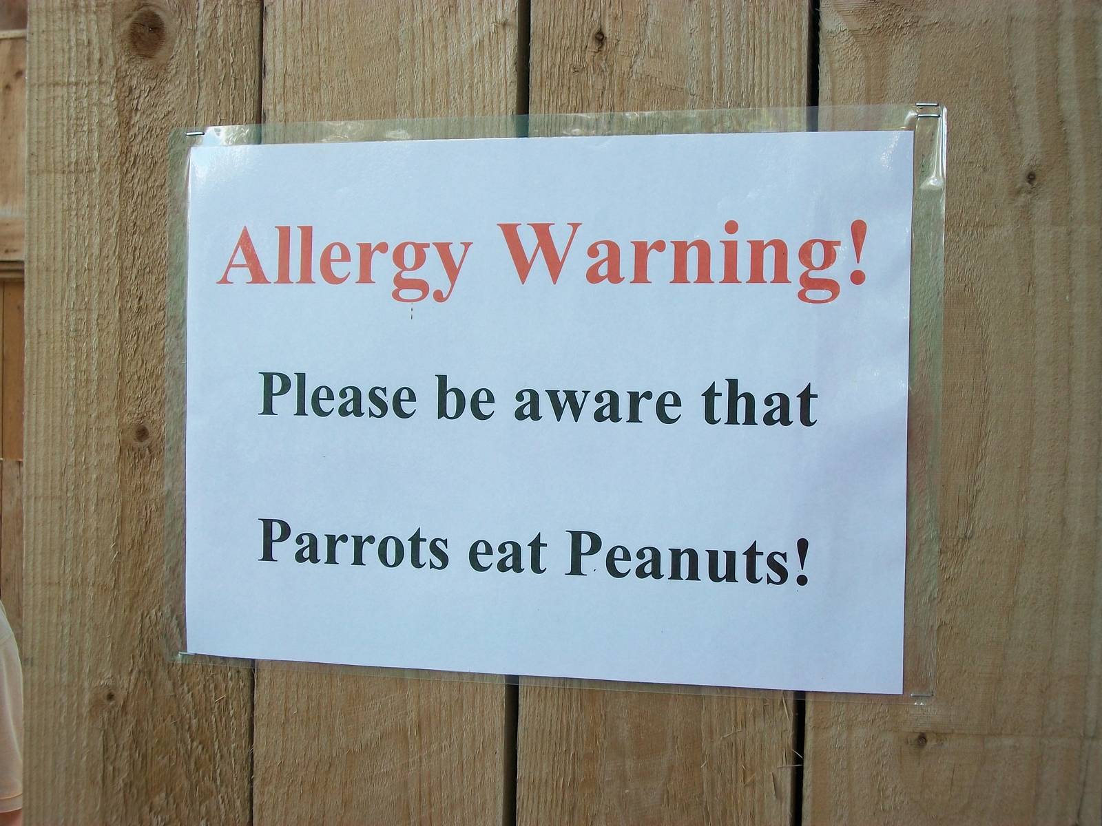 Signage in Bird Show Theatre, 4th August 2014