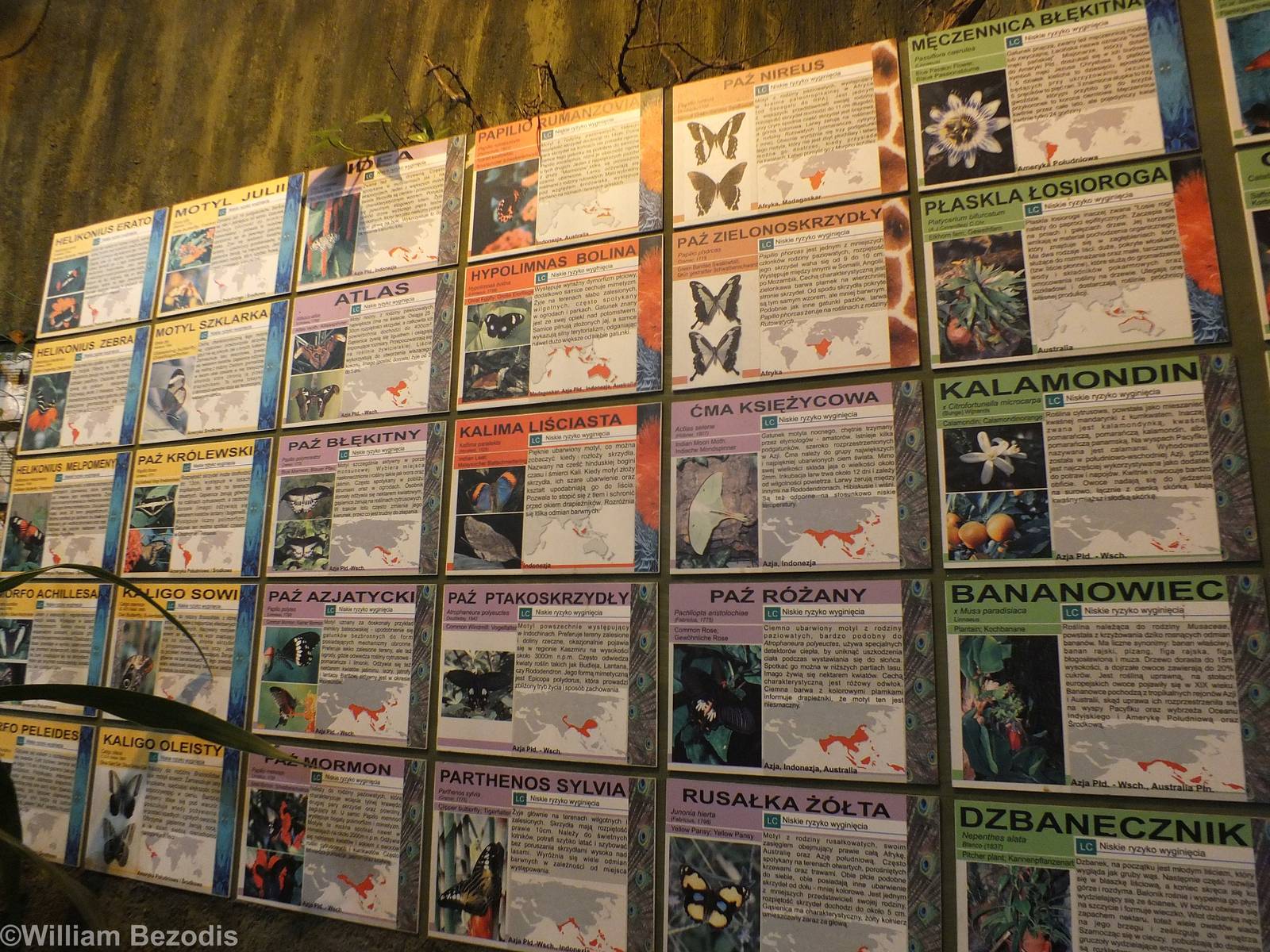 Signage in Butterfly Walk-through