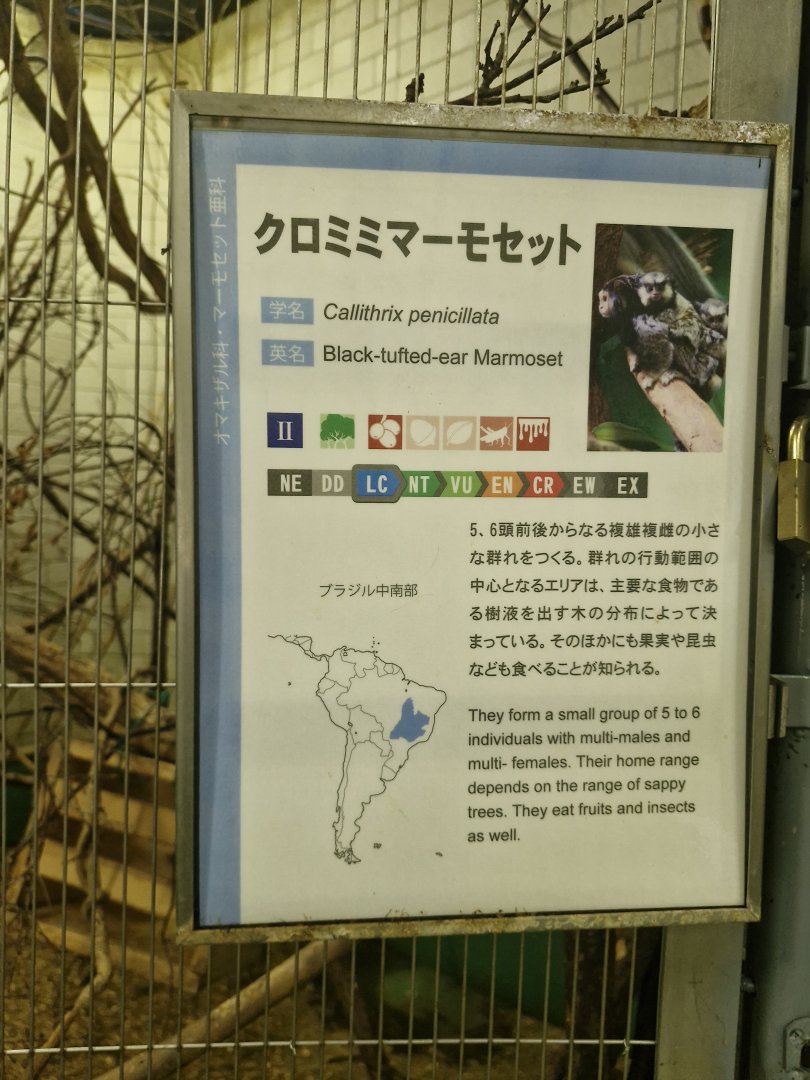 Signage in Callithrichid house