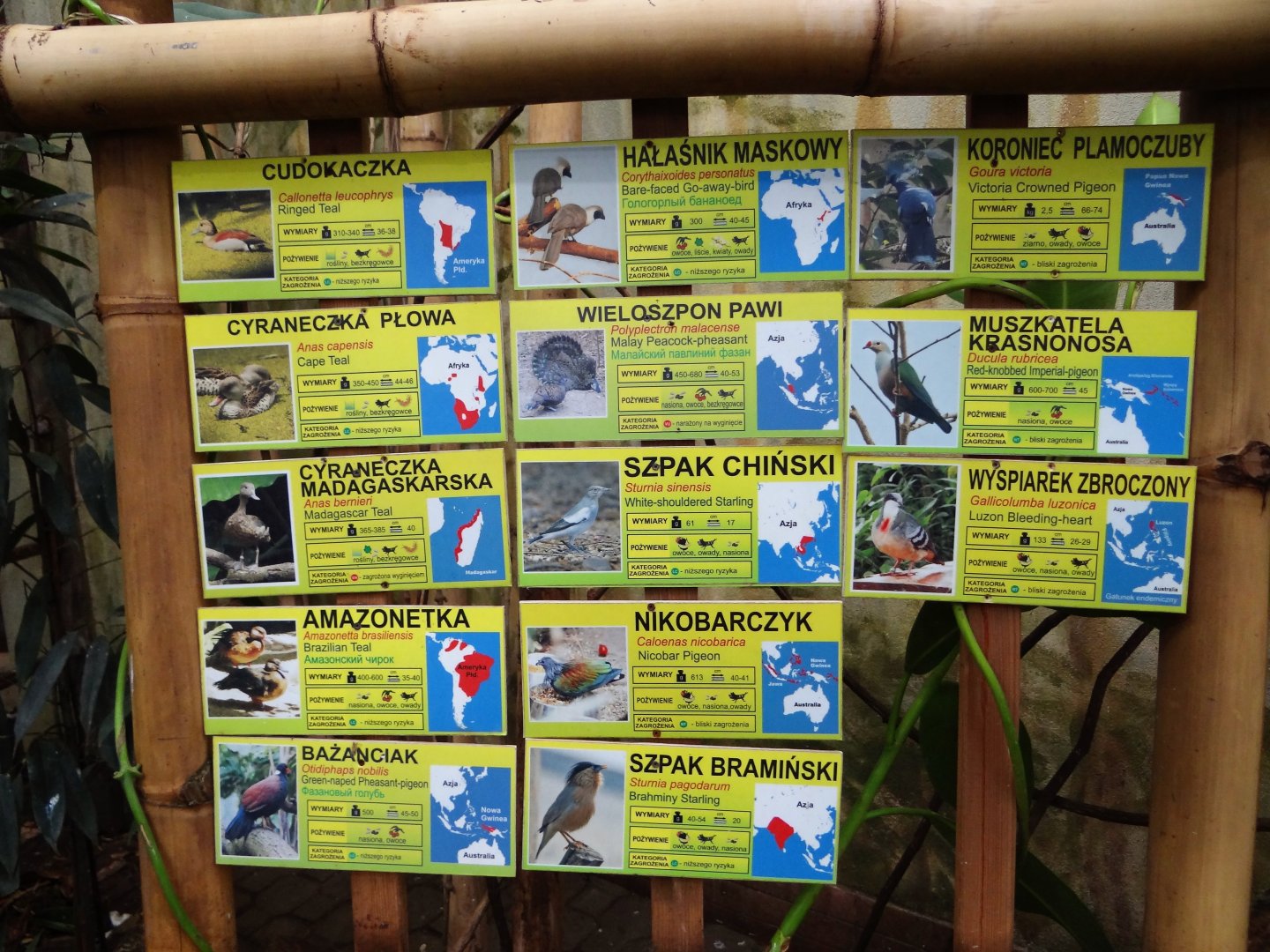 Signage in Free-flight aviary
