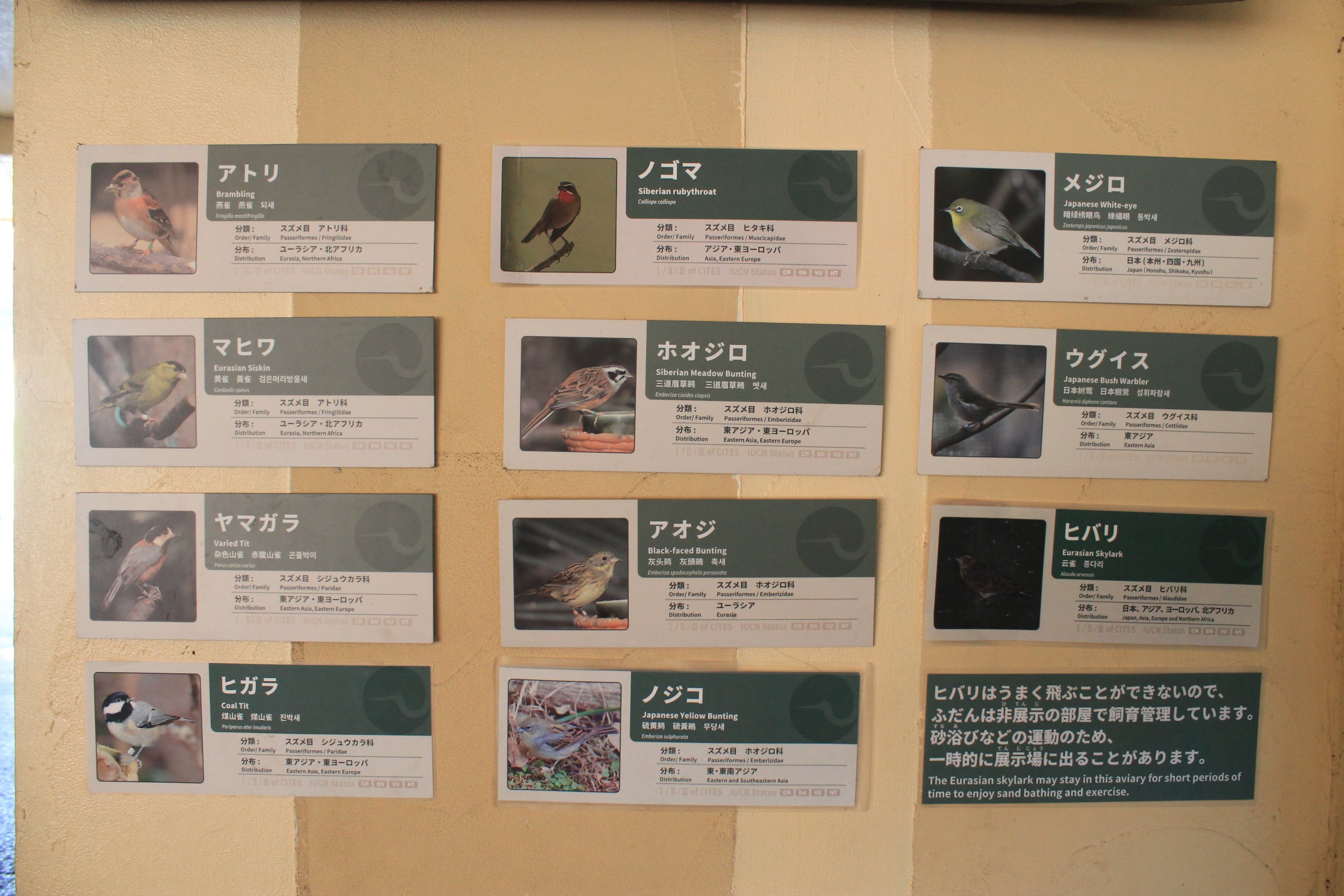 Signage in Japanese Bird House
