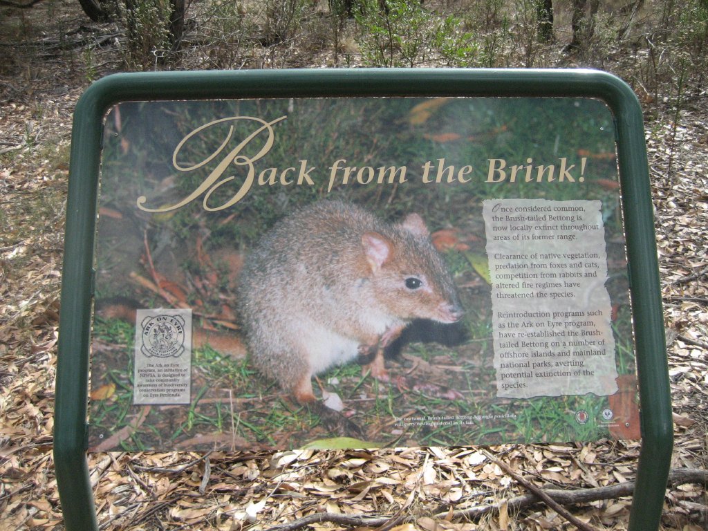 Signage in Mallee Woodland