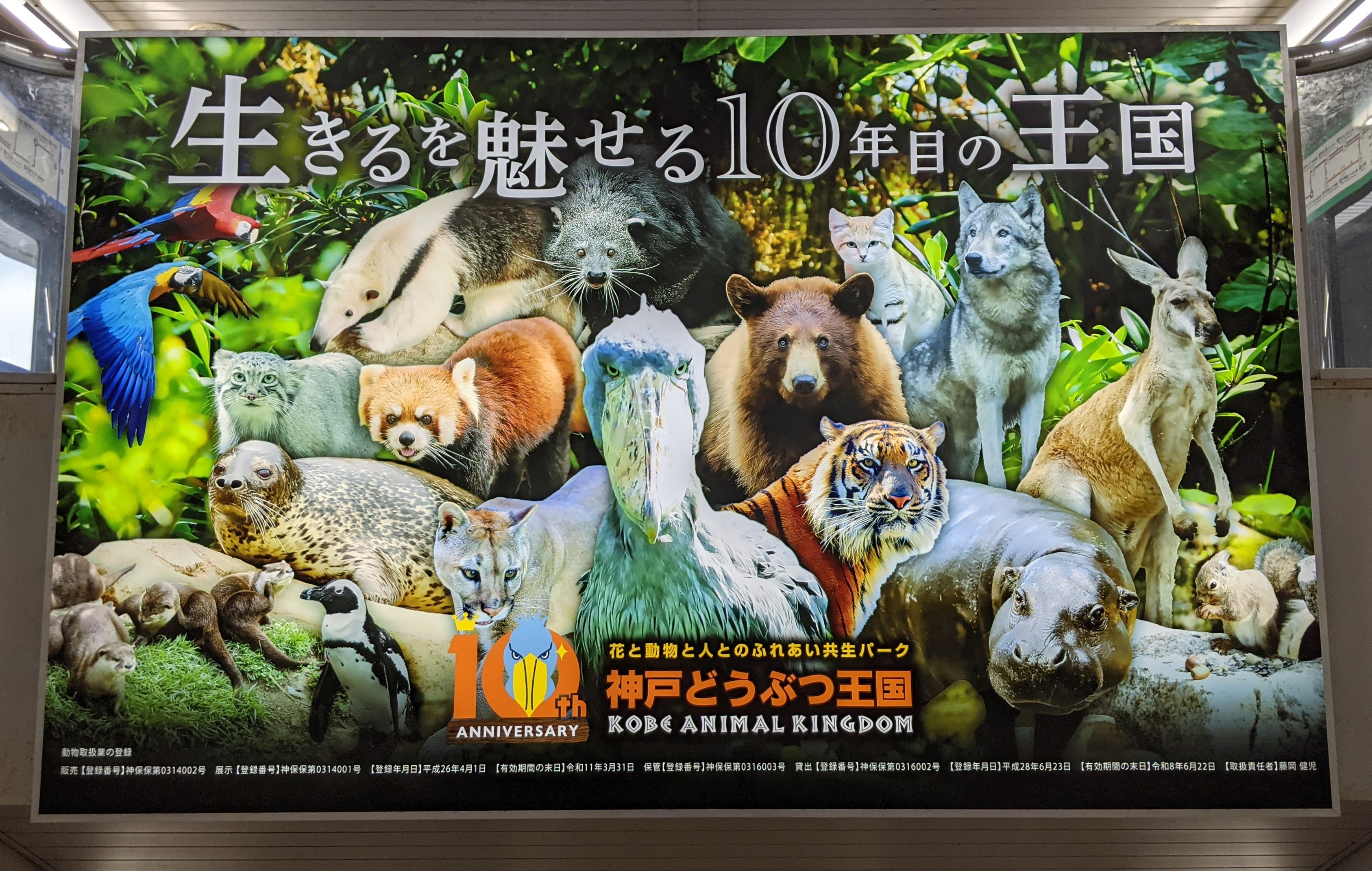 Signage in metro station