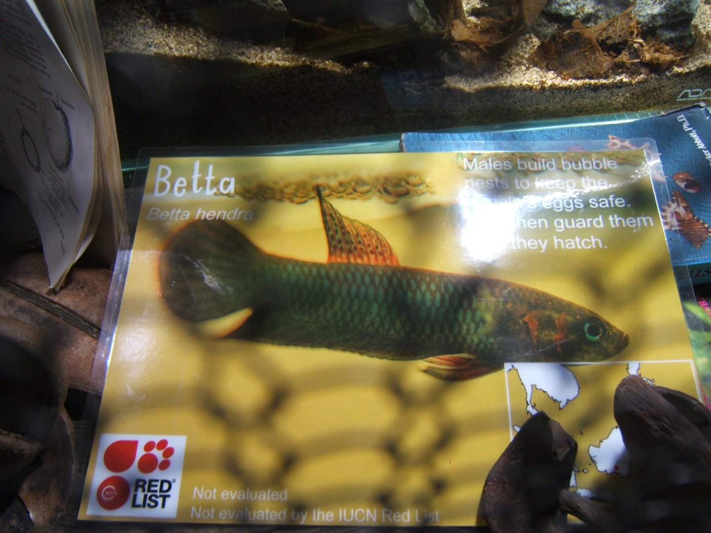 Signage in Monsoon 02/09/2017