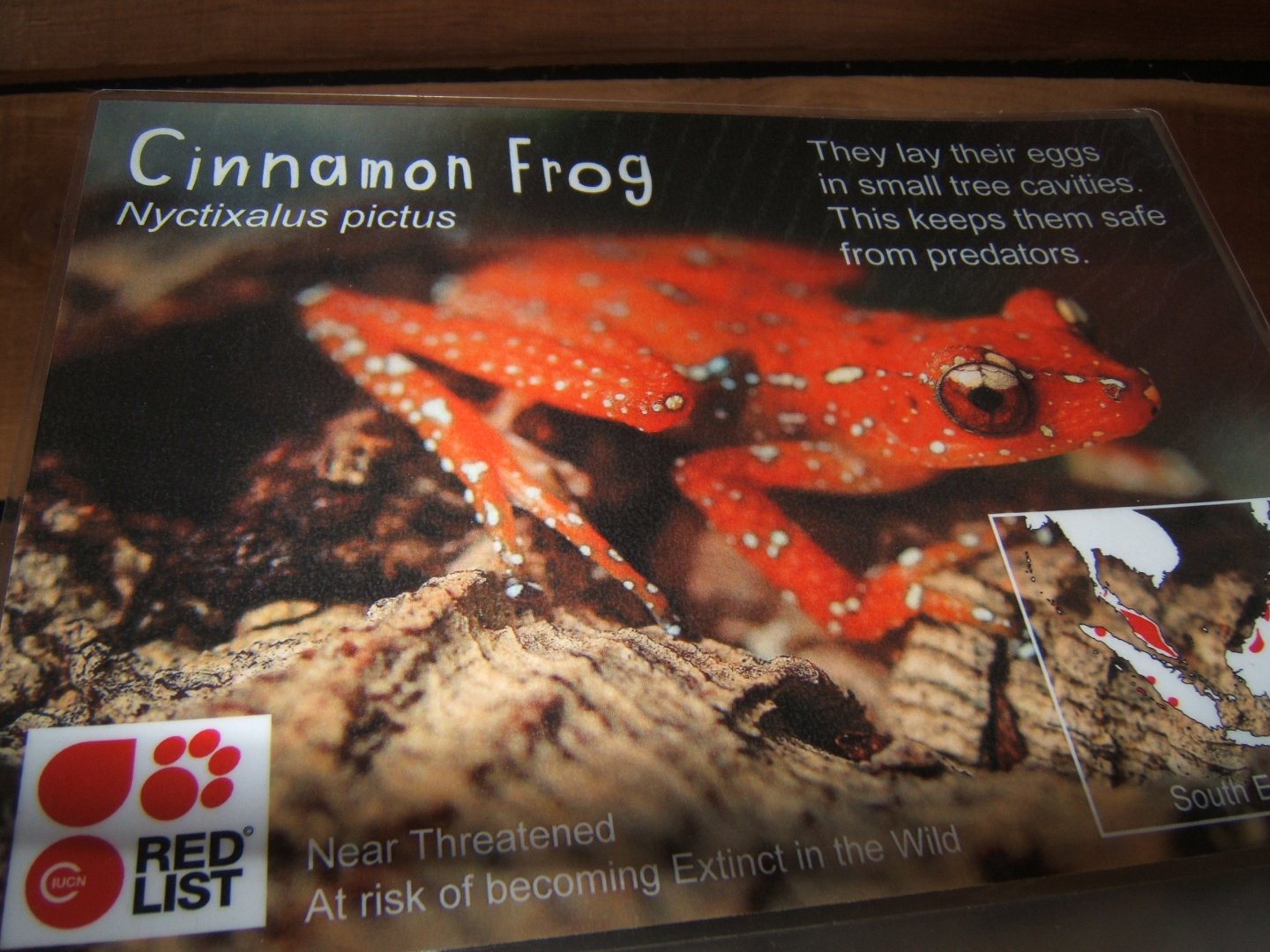 Signage in Monsoon 20/05/2018