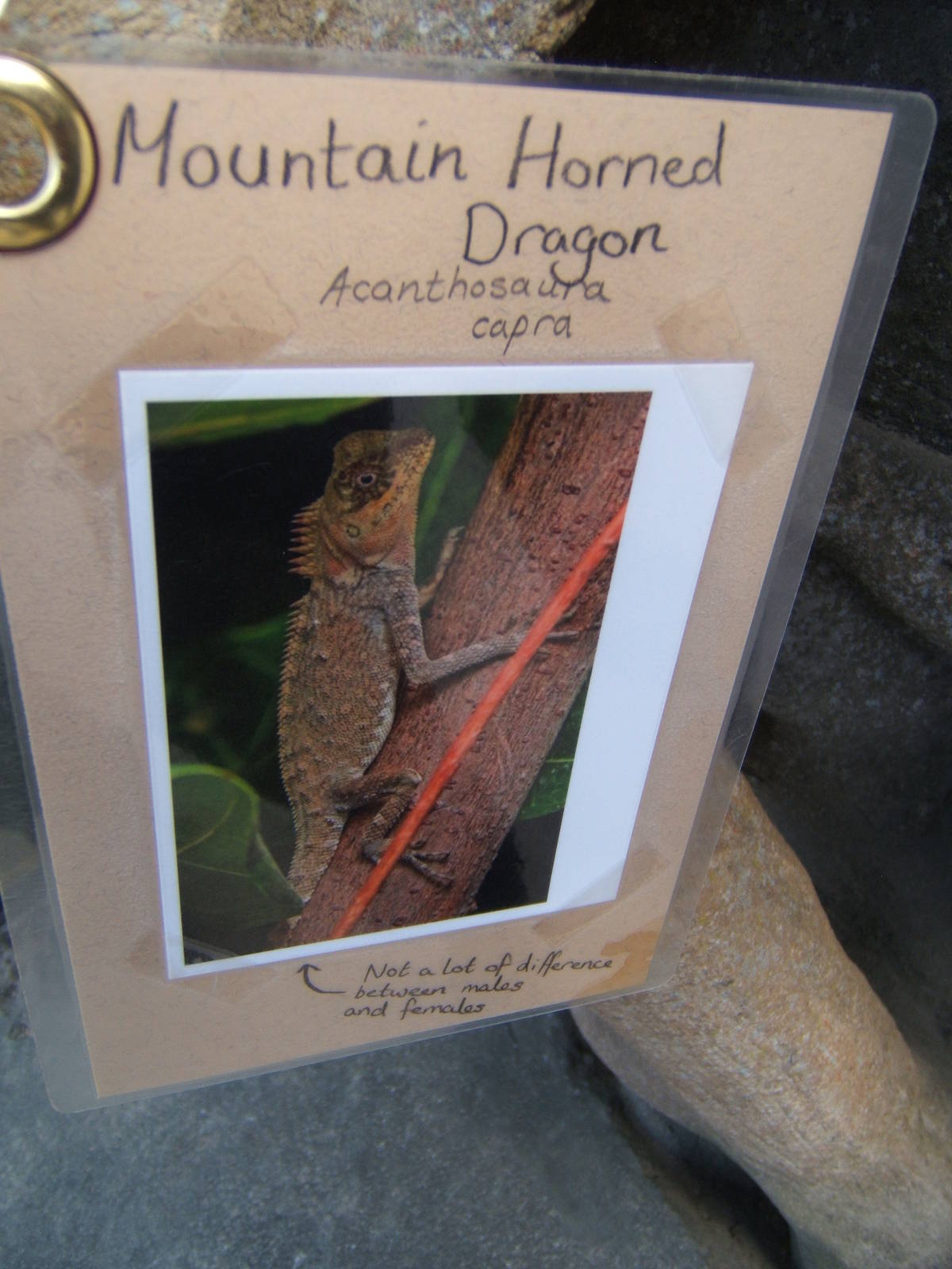 Signage in Monsoon Forest