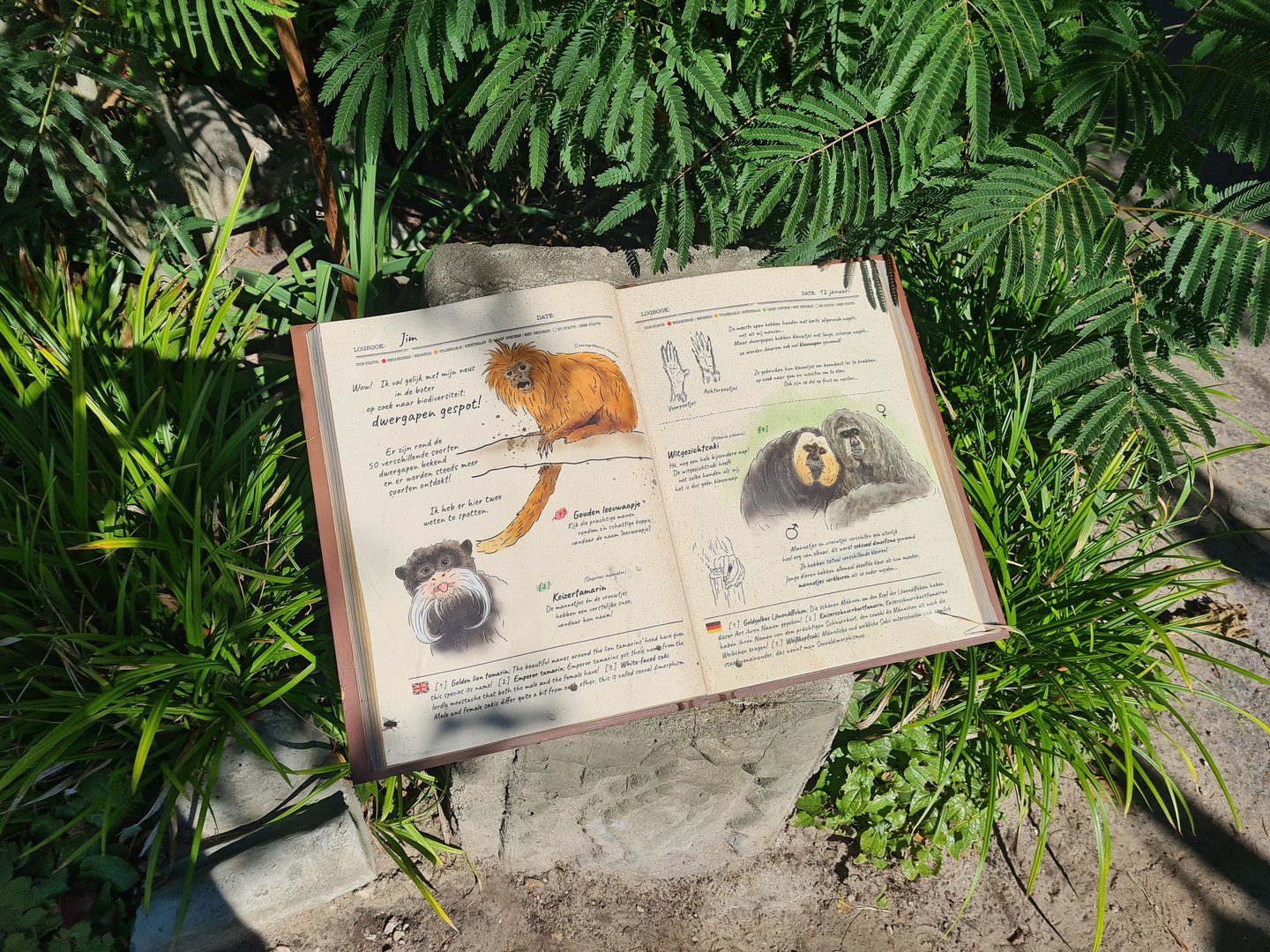 Signage in new Monkey ruins