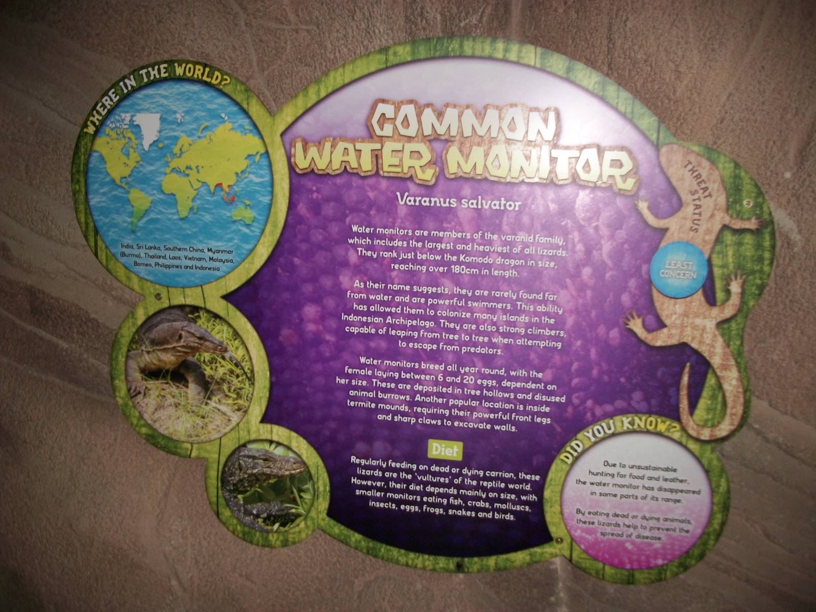 Signage in new reptile area 22nd February 2013