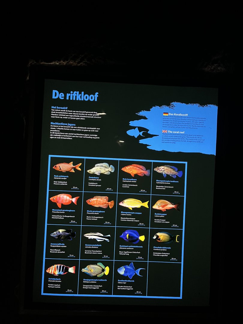 Signage in Ocean 6.7.23