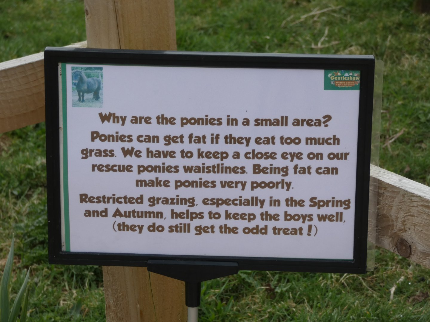 Signage in Paddock area