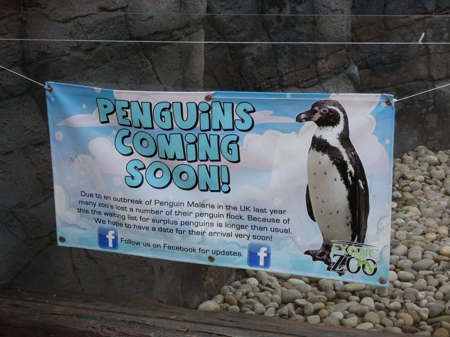 Signage in Penguins