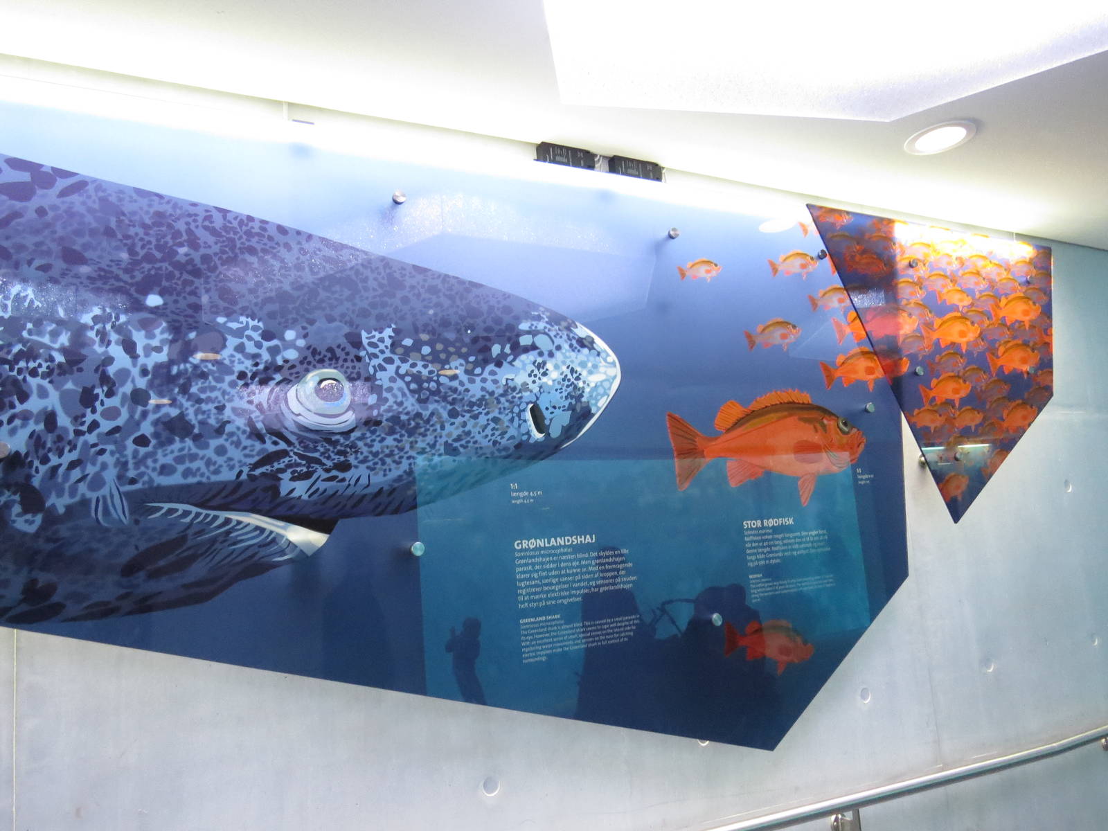 Signage in the Arctic ring, June 2015.