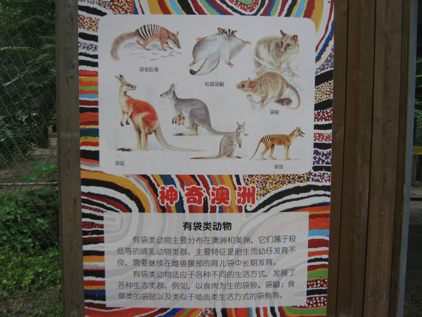 signage in the Australian section