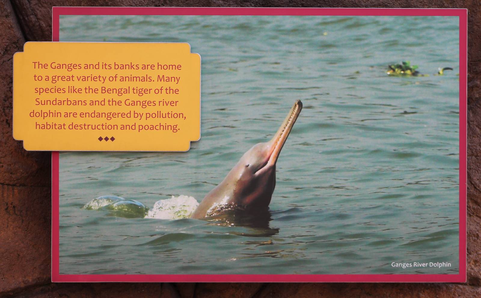 signage in the Ganges River section