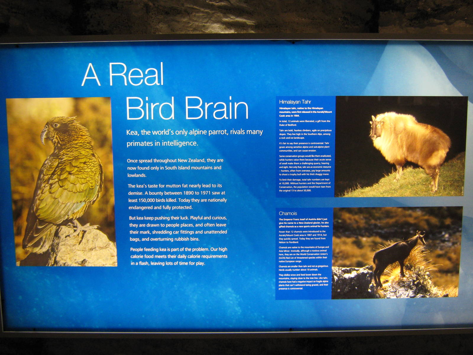 signage in the glacier room