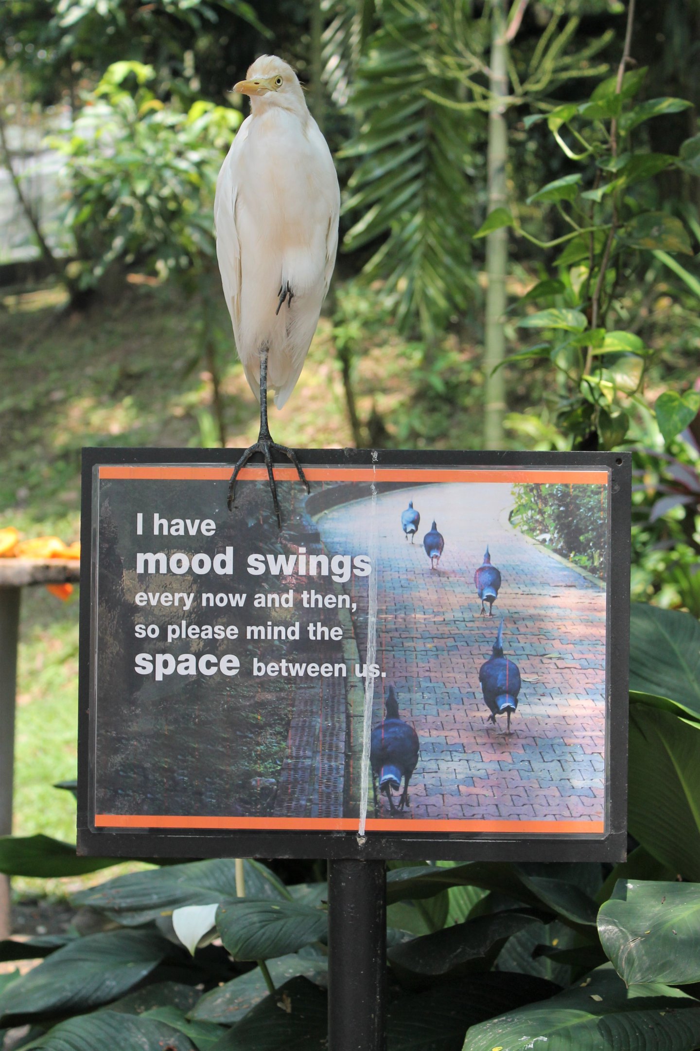 signage in the main walk-through aviary