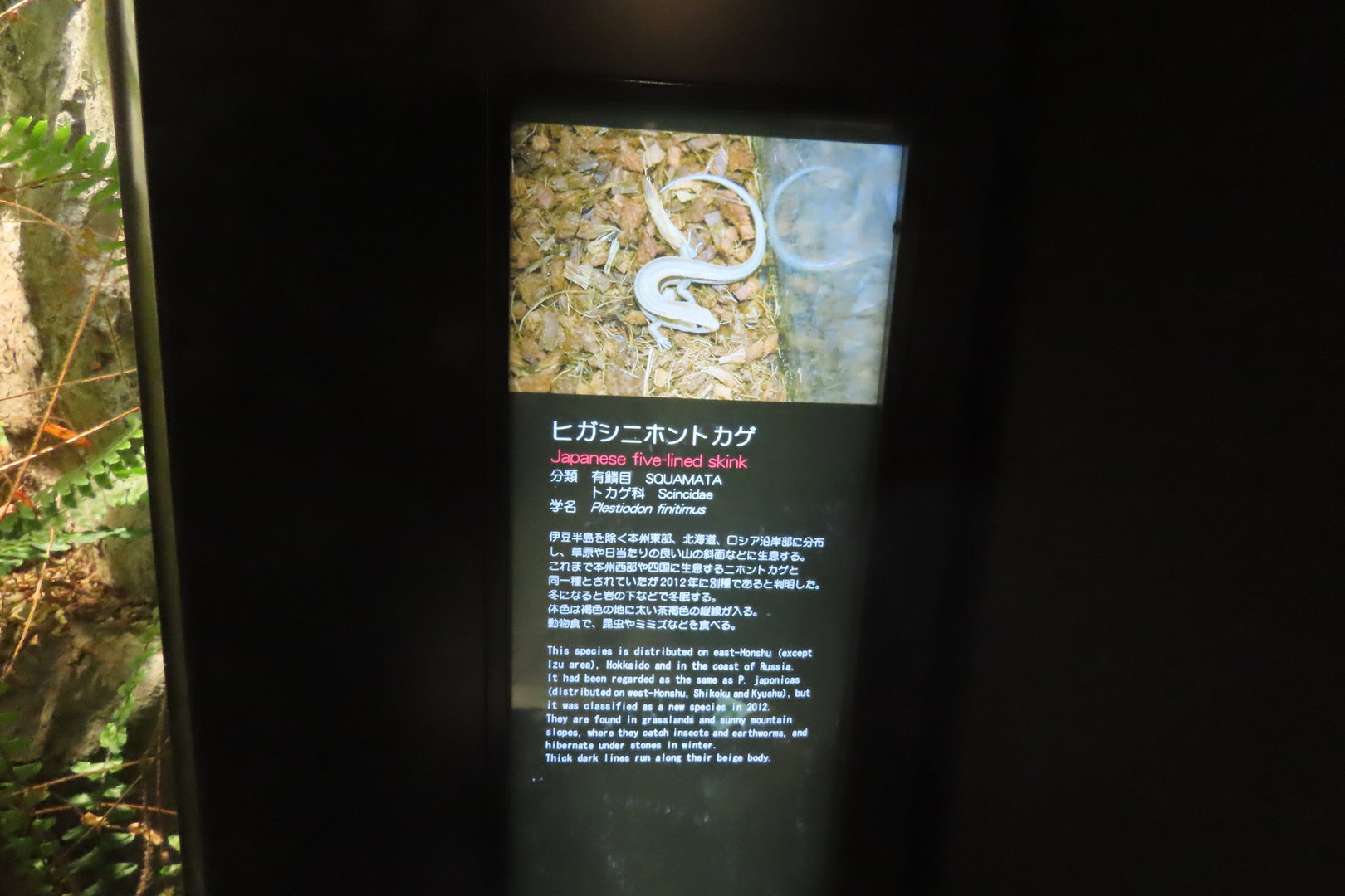 Signage in the reptile house