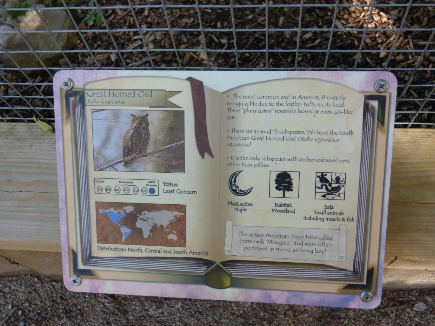 Signage in The Terry Prachett Owl Parliment