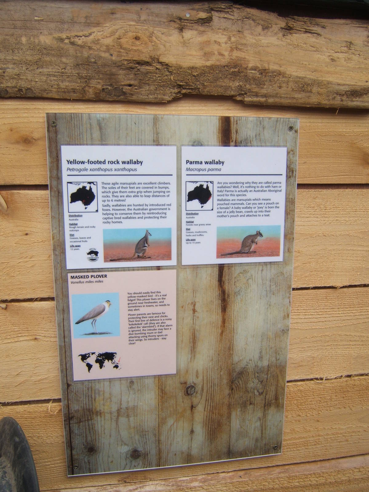 Signage in the Wallaby Walk through