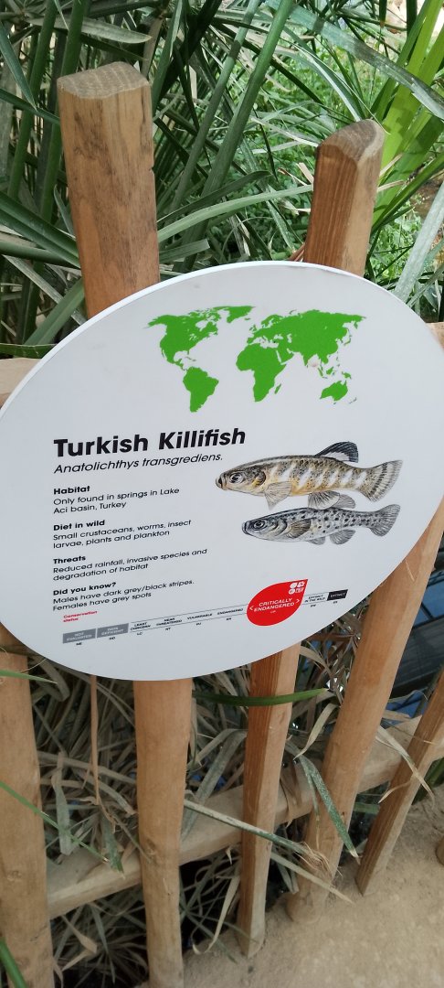 Signage in Thriving through nature.