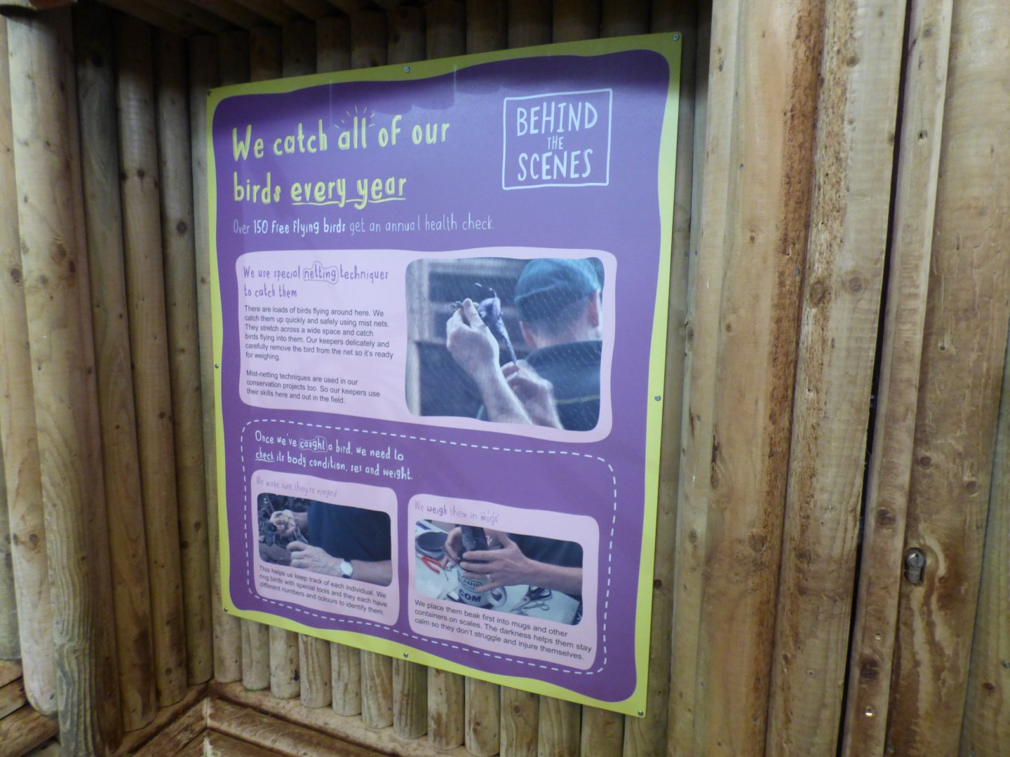 Signage in Tropical Realm Upstairs Corridors