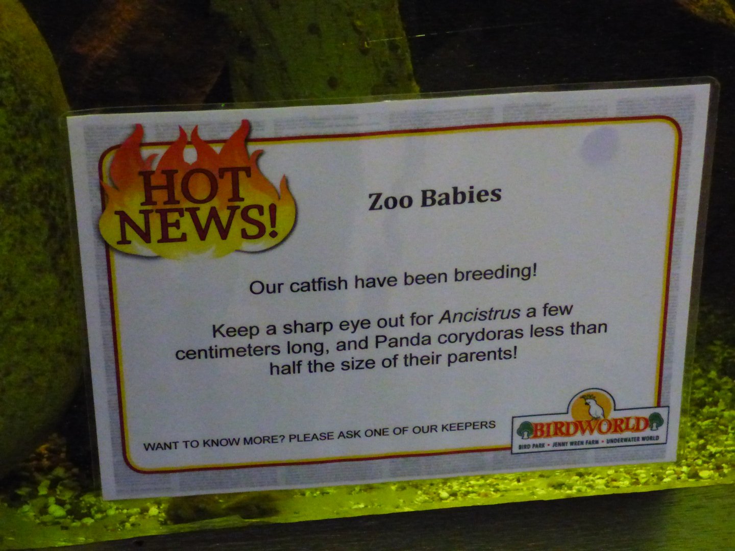 Signage in Underwater World