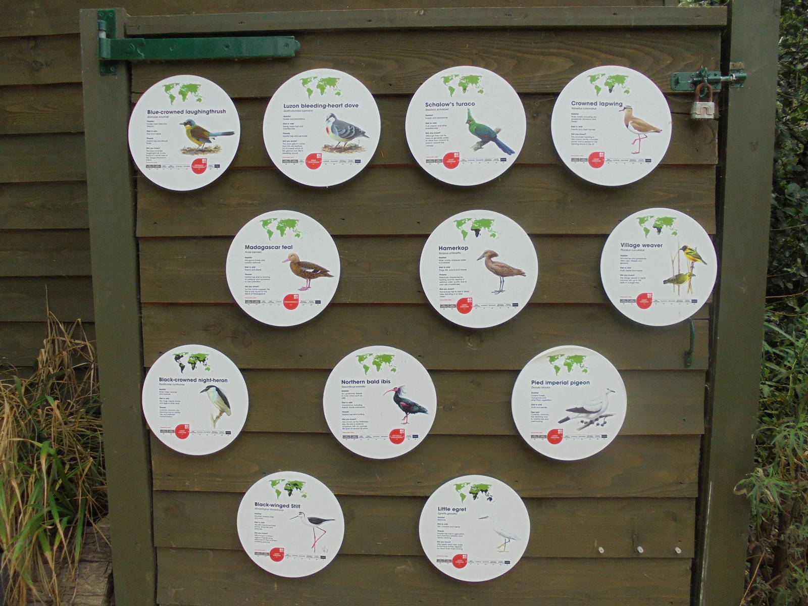 Signage in wlak-through aviary 2015.