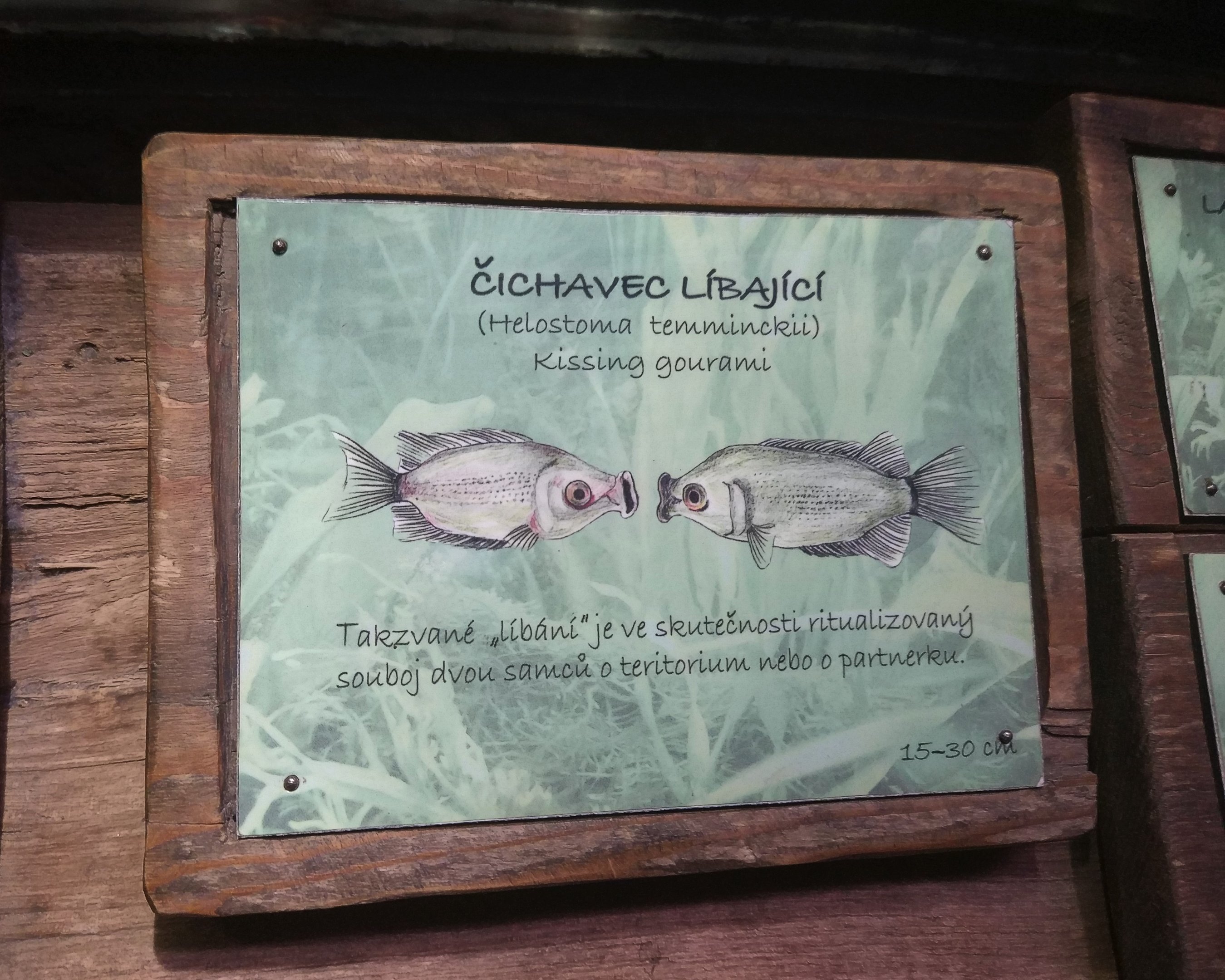 Signage - Indonesia House