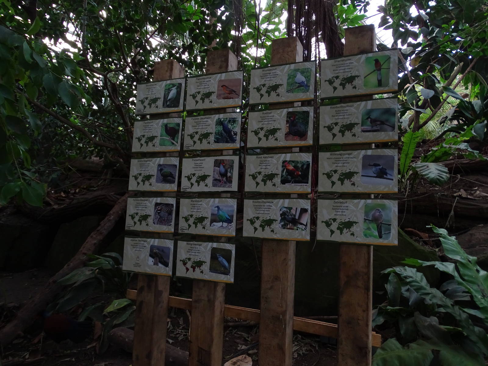 Signage inside the Tropical house