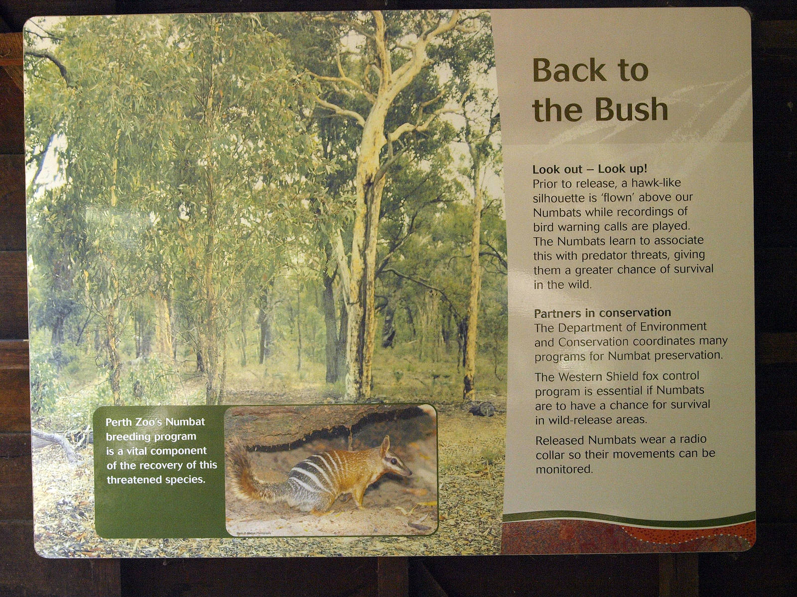 Signage inside viewing hut