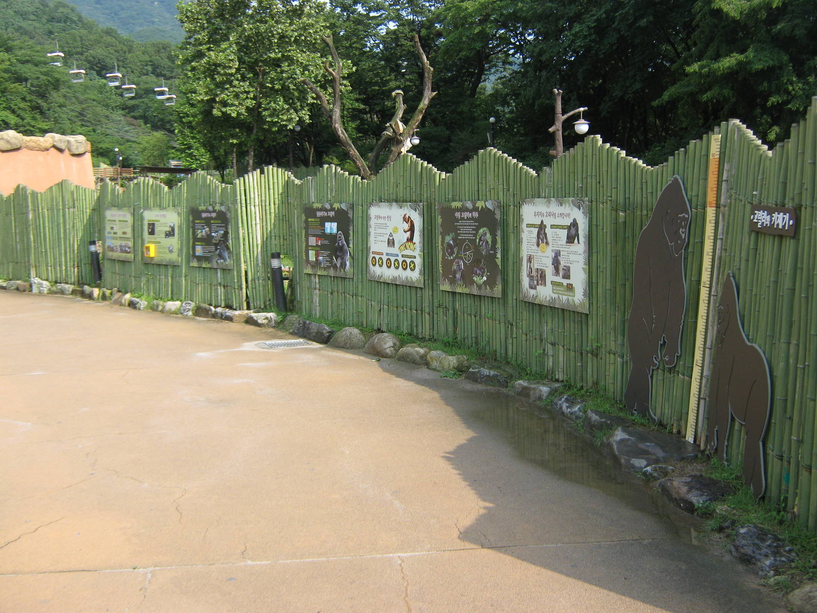 signage leading up to the gorilla enclosure