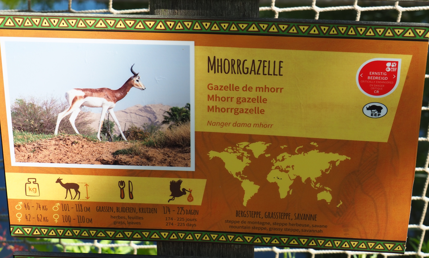 Signage Mhorr gazelle, 2020-06-12