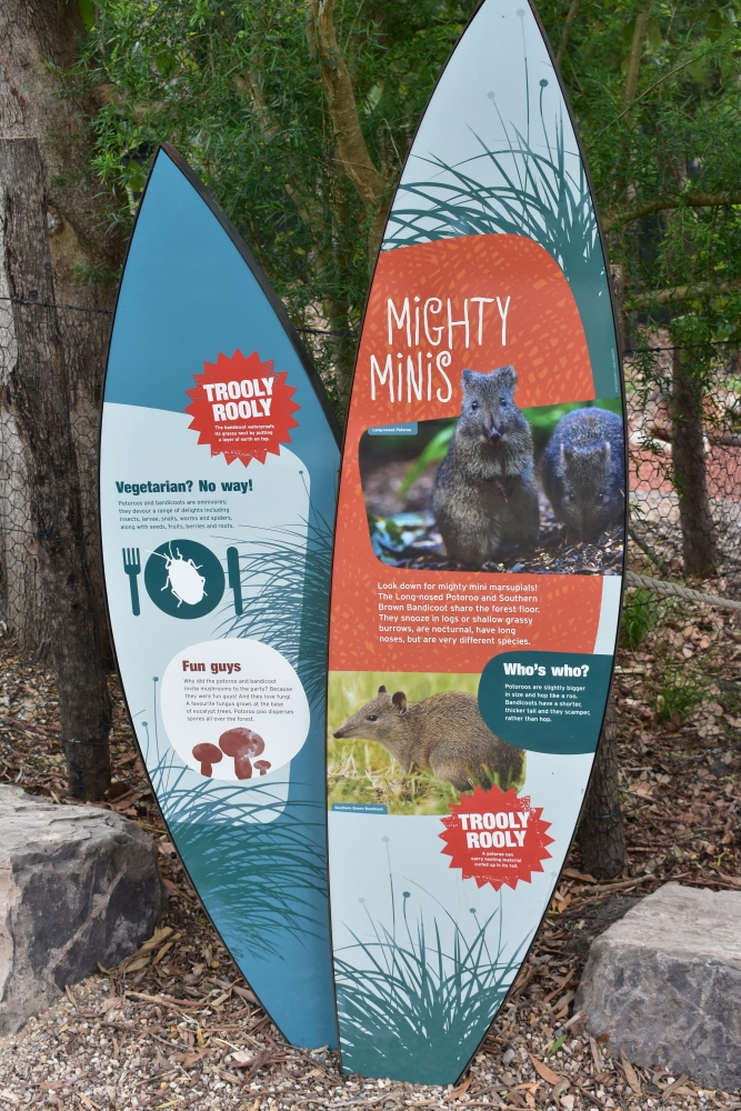 Signage: "Mighty Minis"