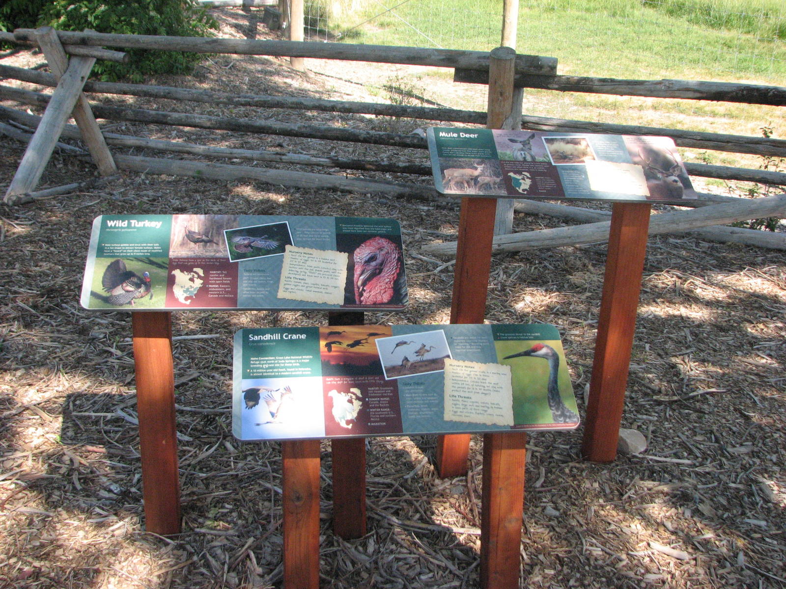 Signage - Mule Deer, Sandhill Crane, Wild Turkey