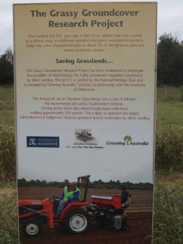 Signage - native grass research