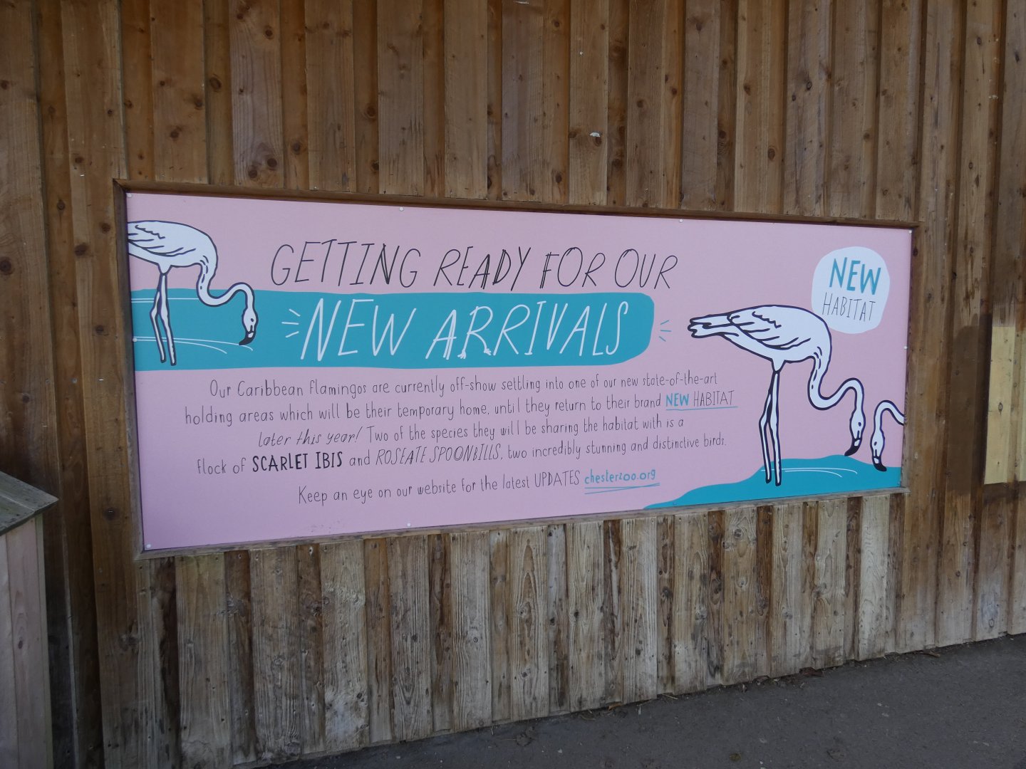 Signage of Flamingo house