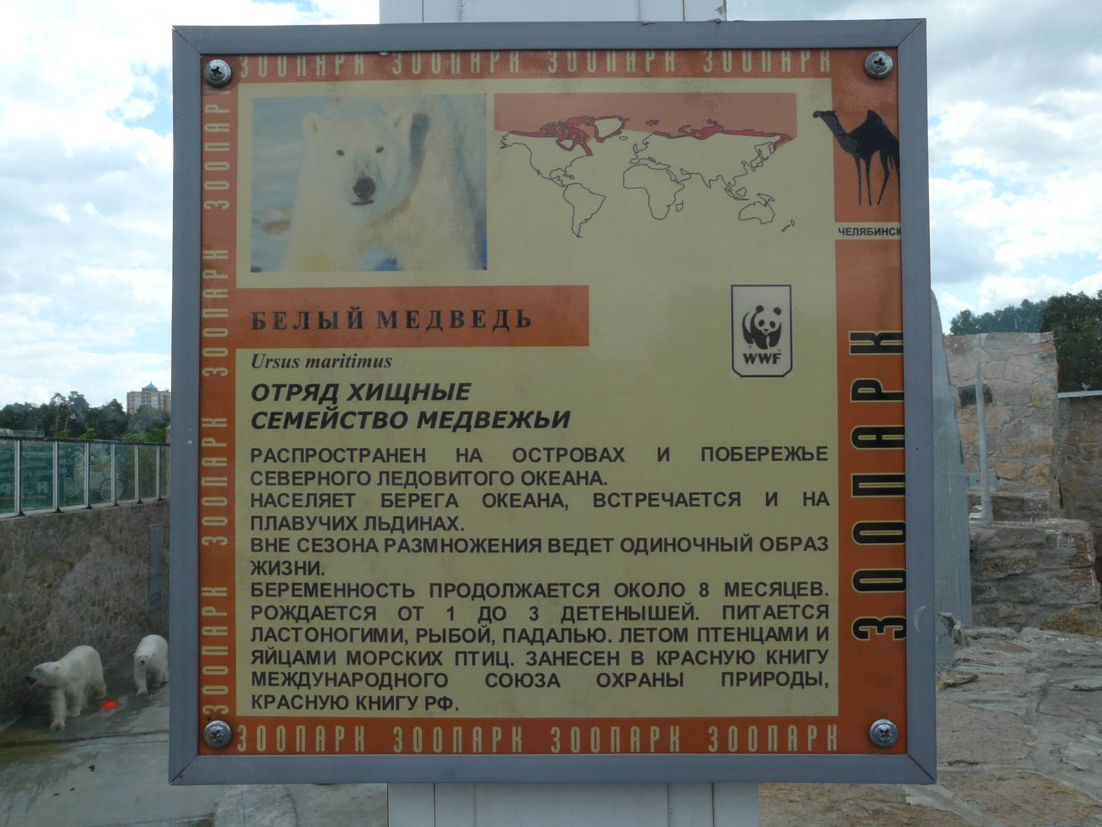 Signage of polar bear