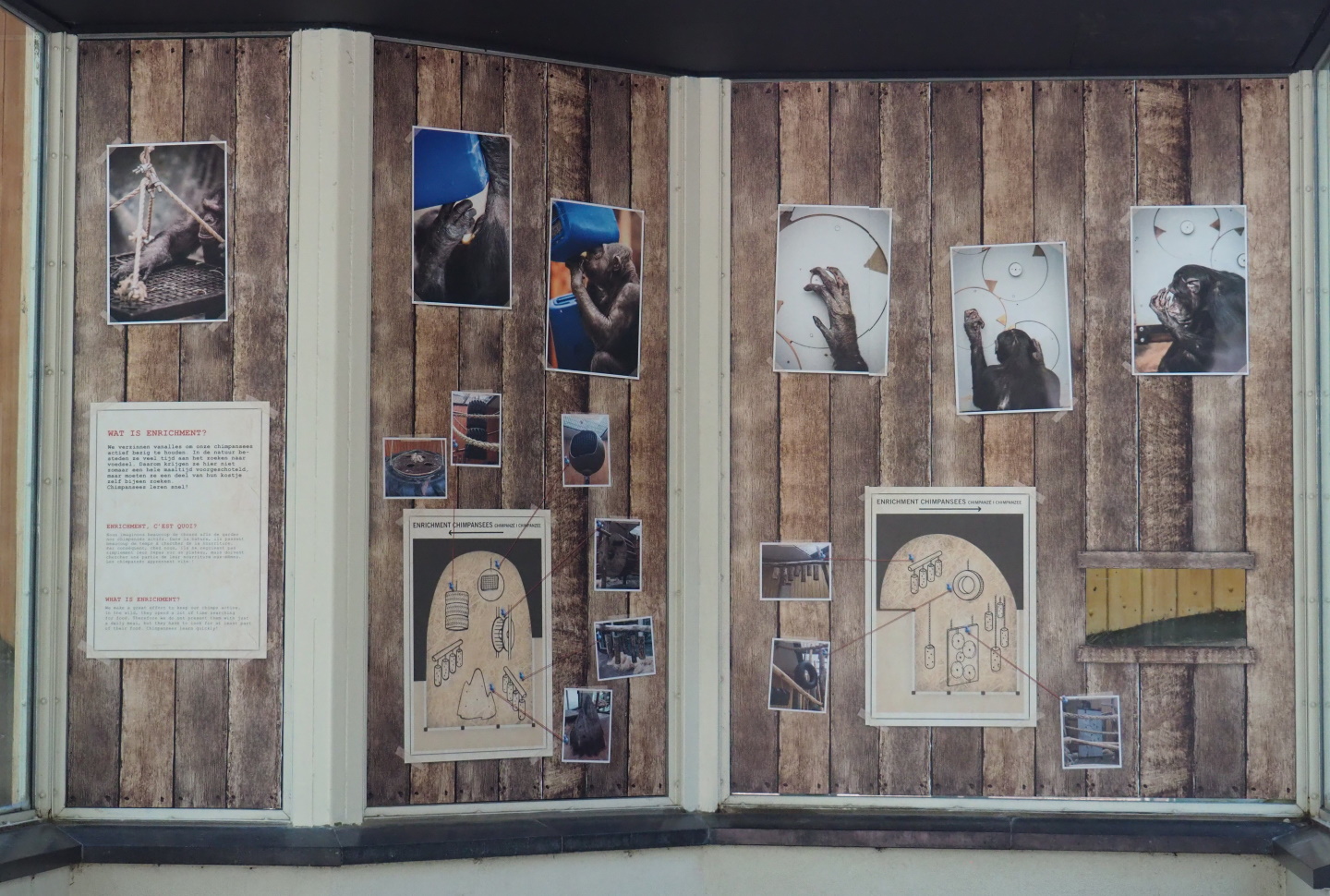 Signage on chimpanzee enrichment, 2021-07-17