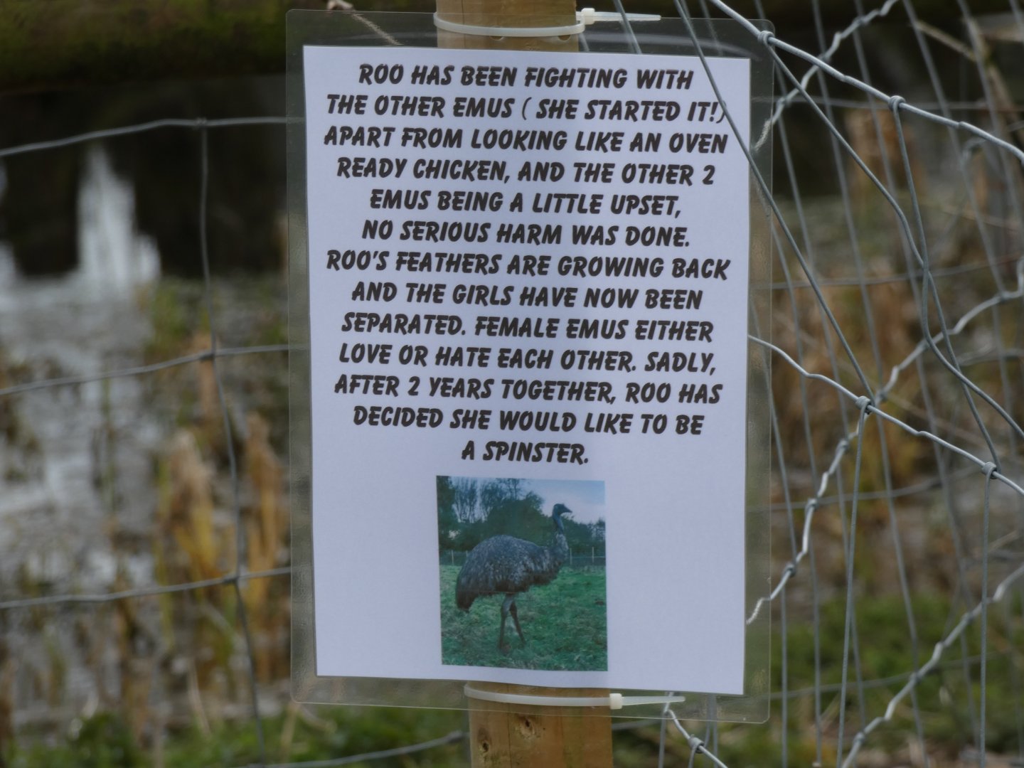 Signage on Emu paddock
