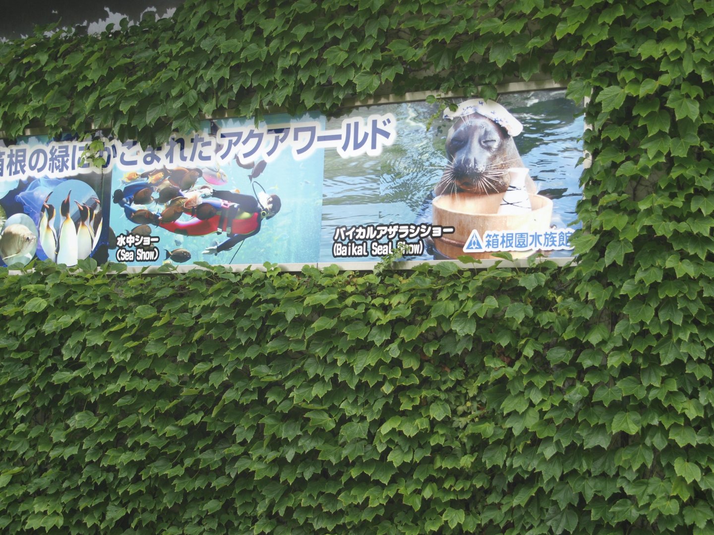 Signage on exterior of building