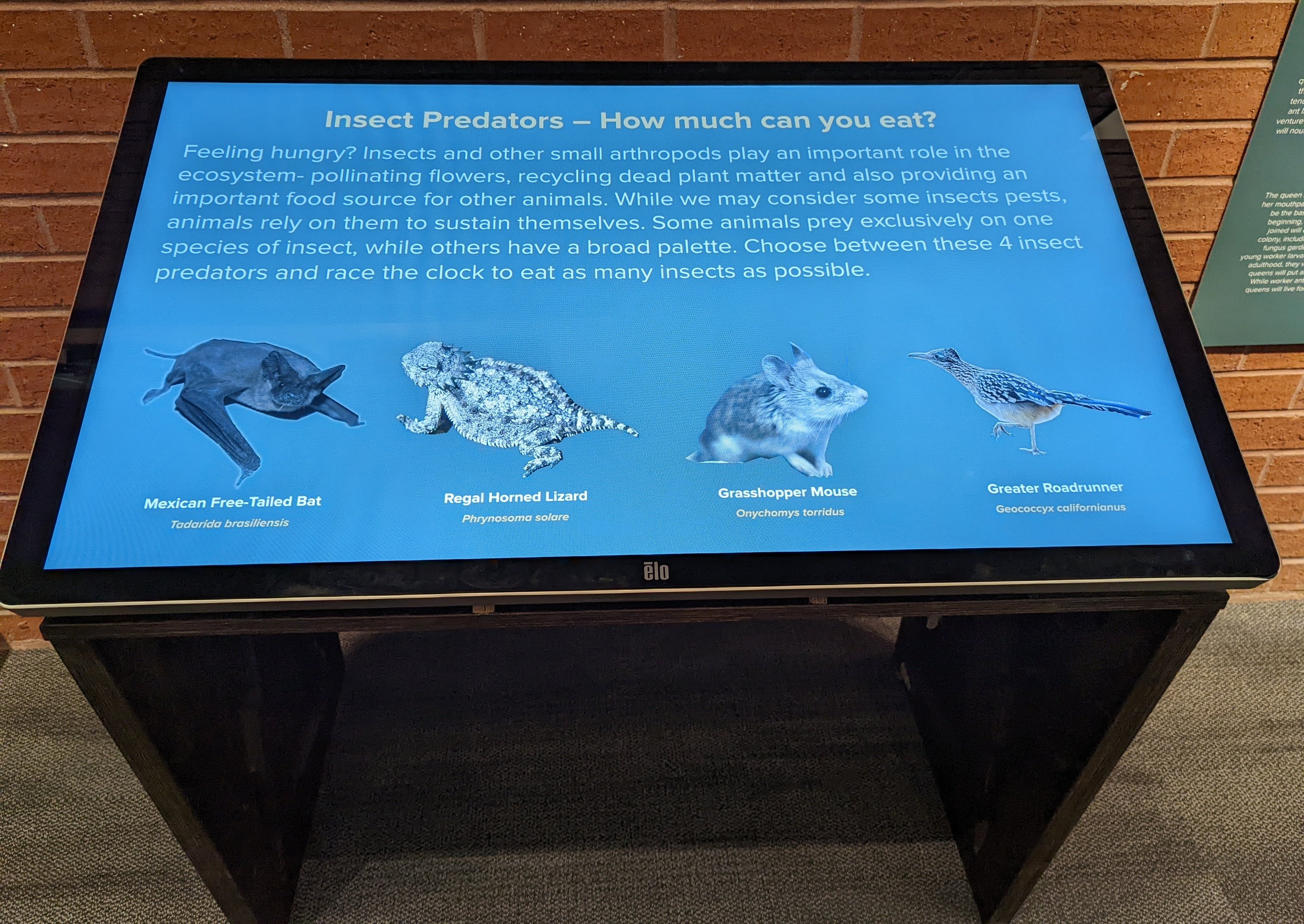 Signage on Insect Predators