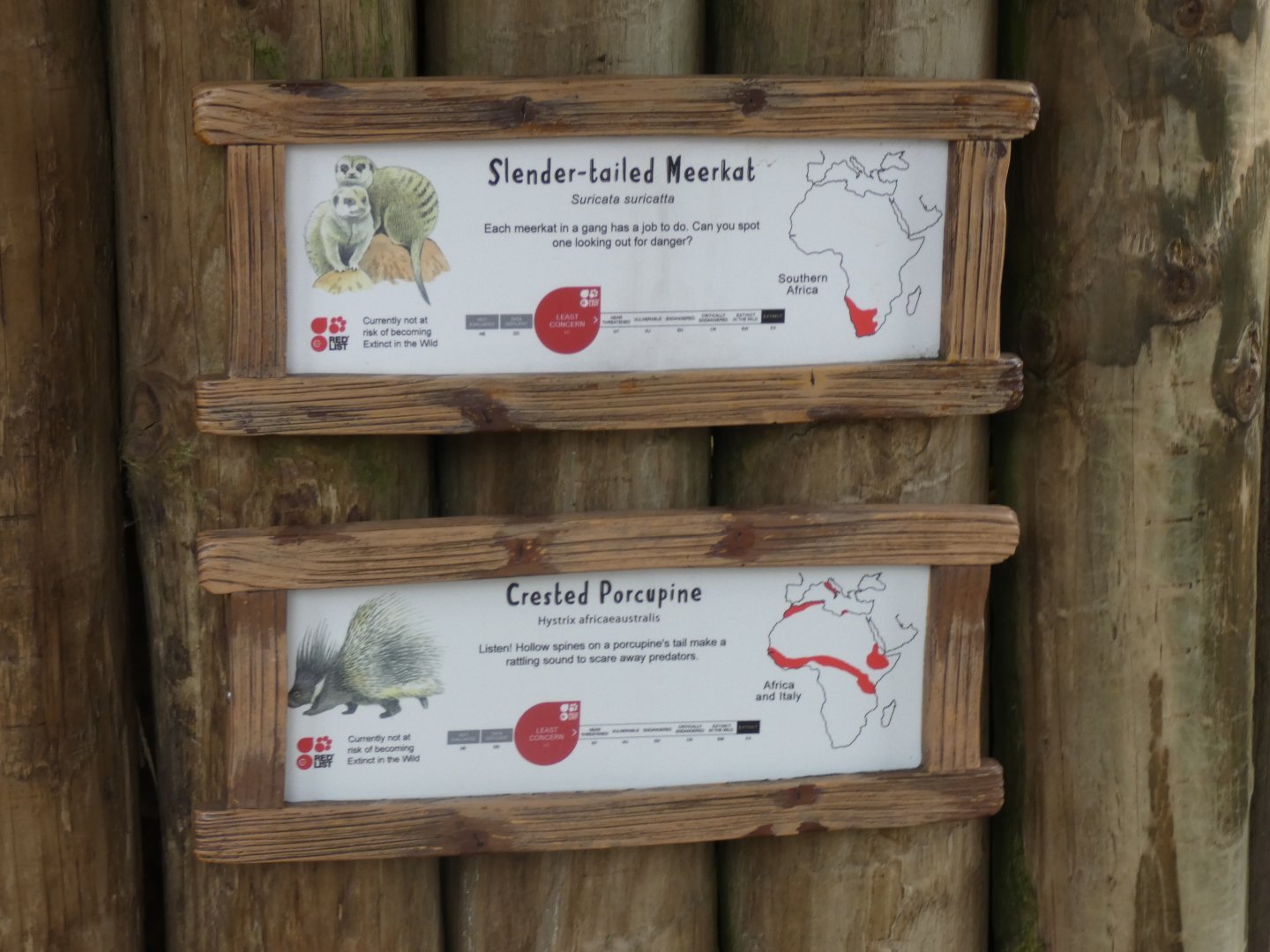Signage on Meerkat enclosure