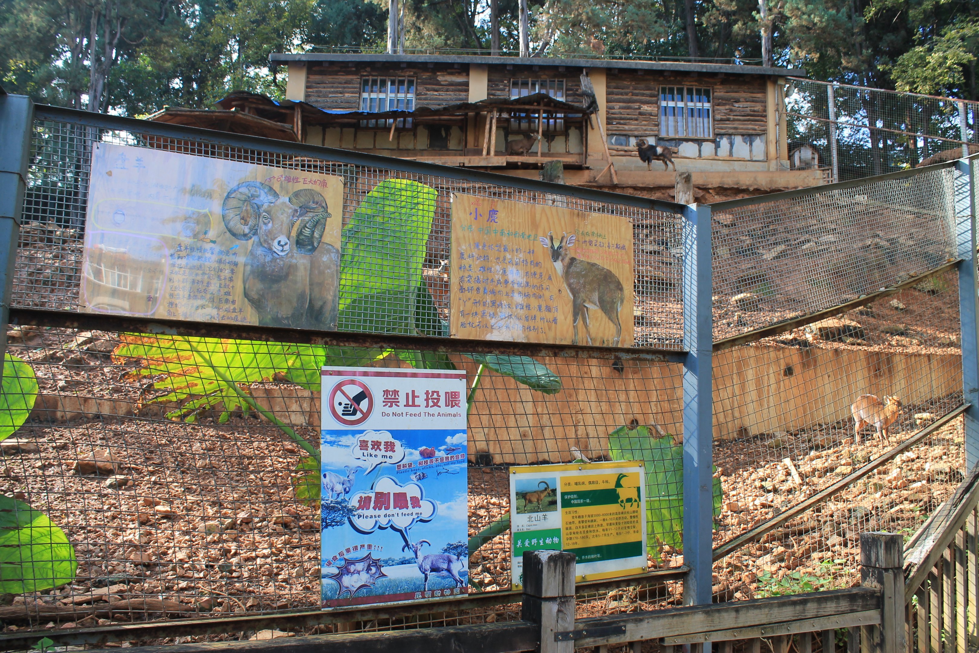 Signage on Mouflon / Ibex / Reeves' Muntjac enclosure