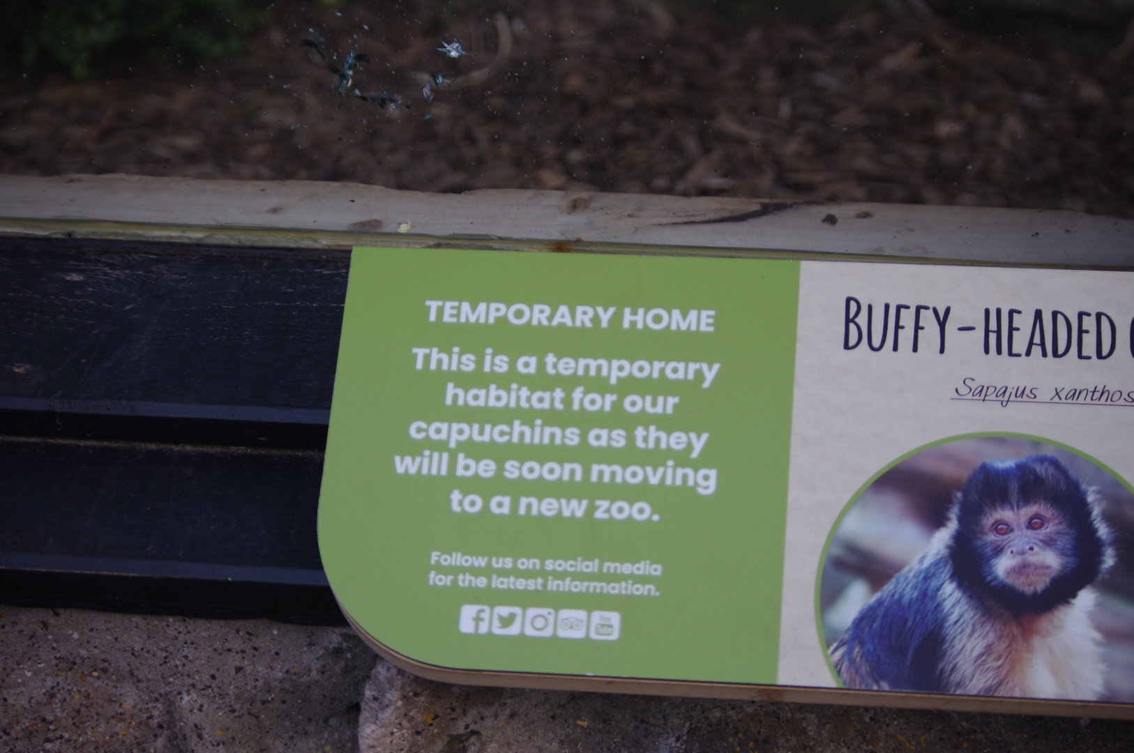 Signage on one of the old bear enclosures being used as a temporary display- 2/6/2023
