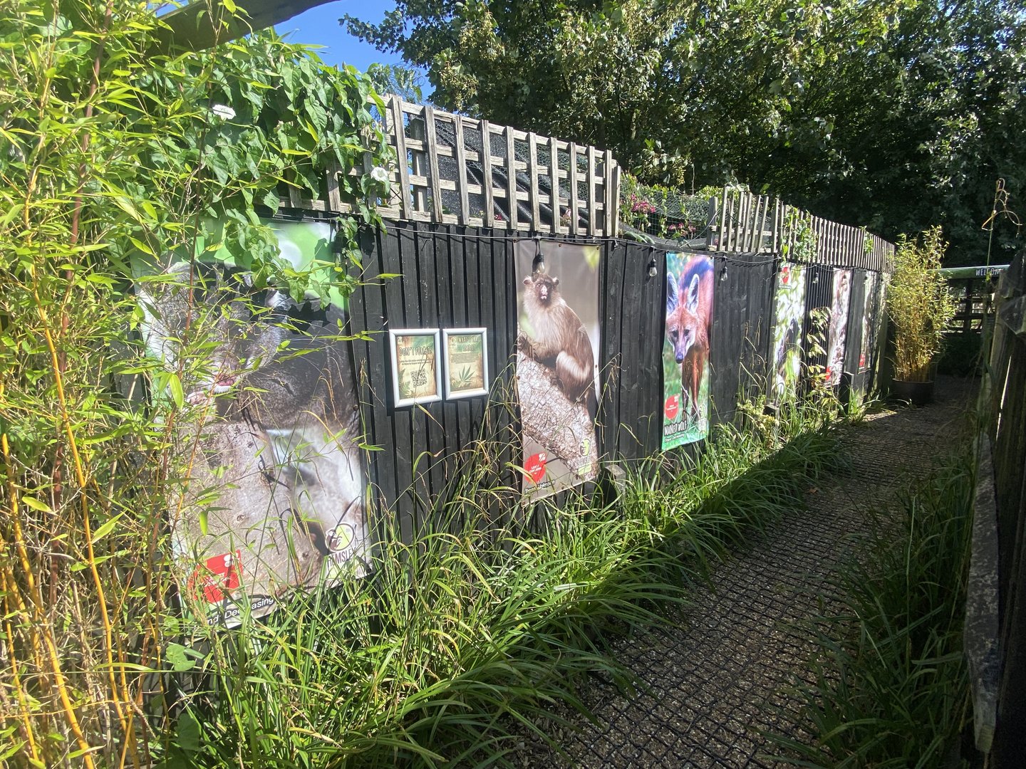 Signage on opening walkway 290723