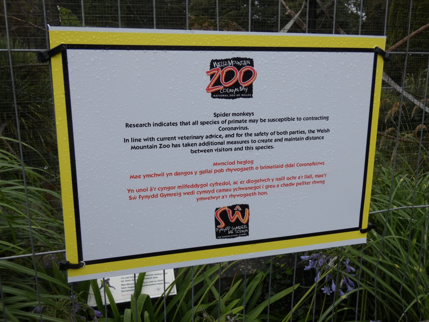 Signage on Spider Monkey enclosure