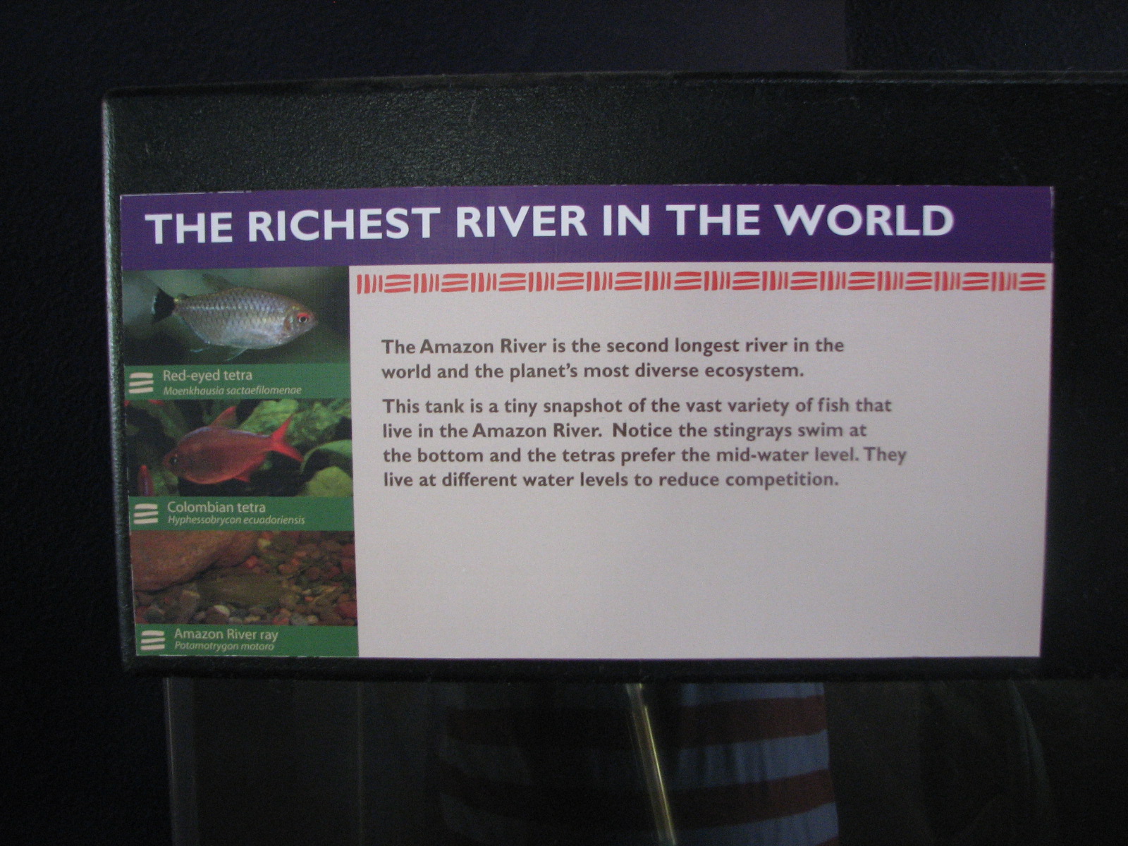 Signage on the Aquarium at the Front Entrance