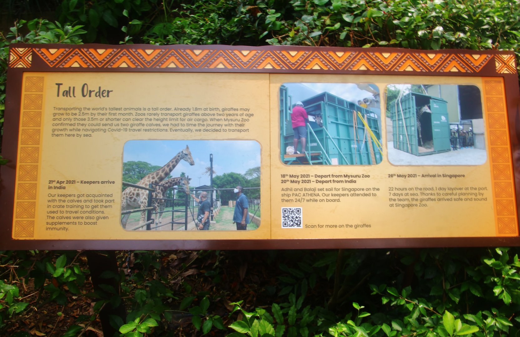 Signage on the transport of giraffes