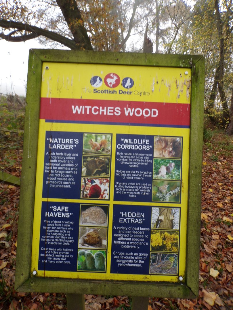 Signage on the Witches wood