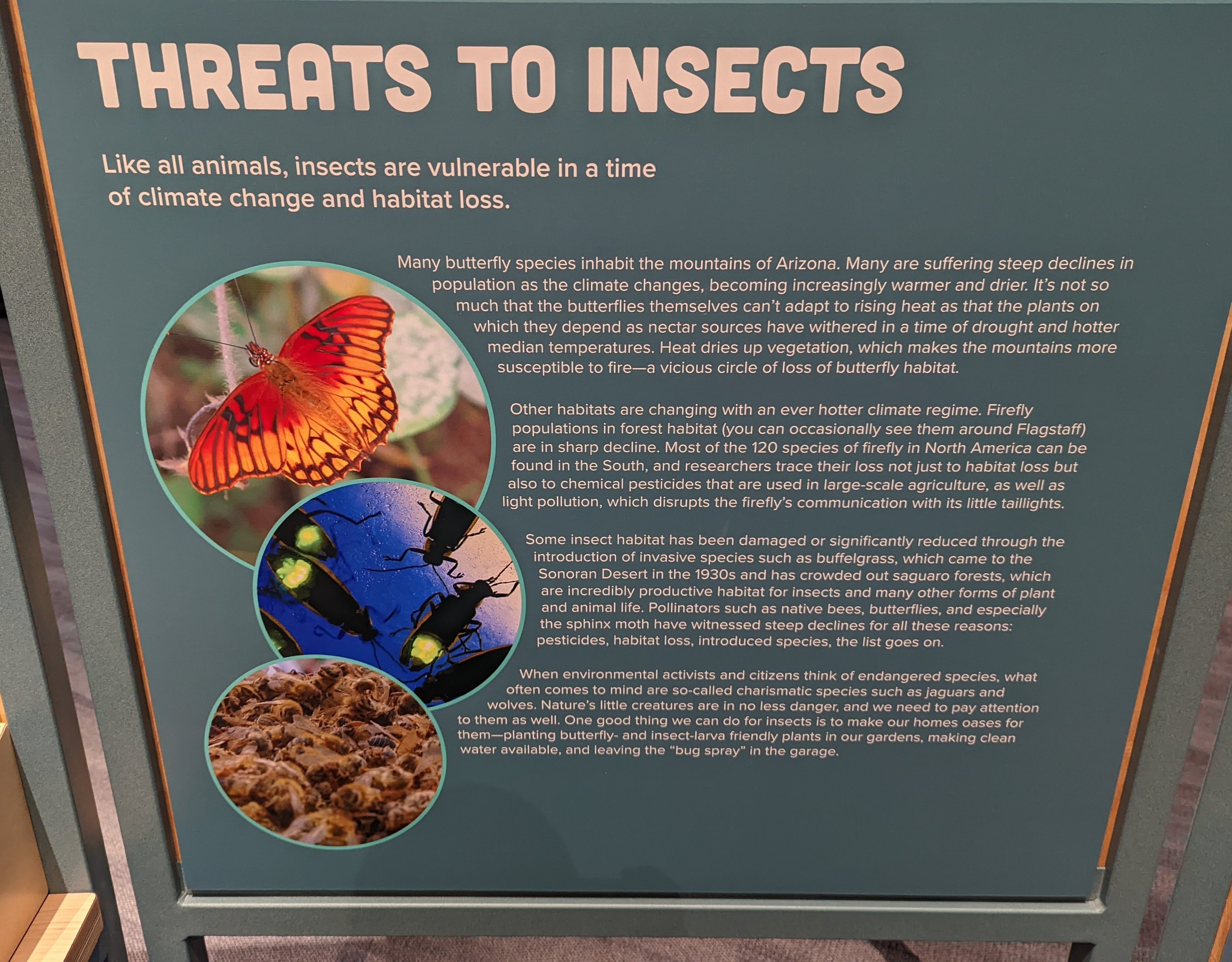 Signage on Threats to Insects